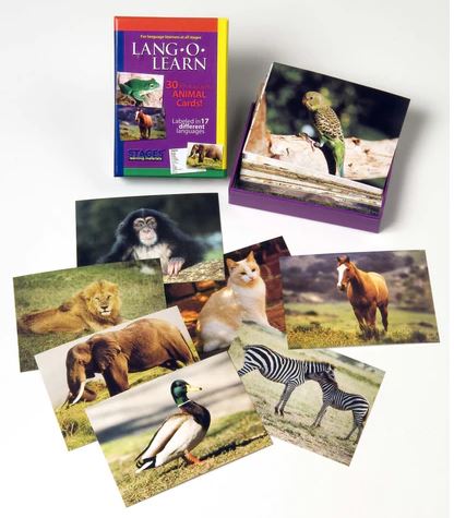 Multi-color box of cards with the text "LANG-O-LEARN" and 8+ cards of real animals displayed on a white background. 