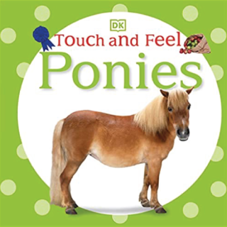 A pony