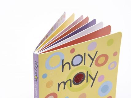 Picture of Holy Moly book 