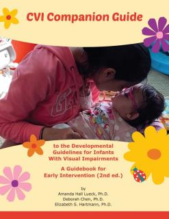 Picture of the cover of the CVI Companion Guide.