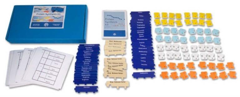 Picture of Protein Syntheses kit.