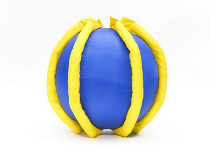 Picture 18 inch Rib-It-Ball.