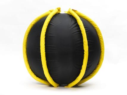 Picture of 30 inch Rib-It-Ball.