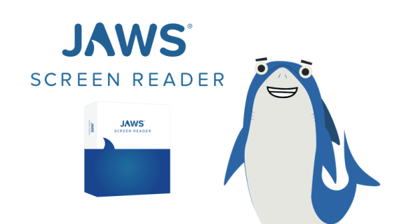 Jaws screen reader.