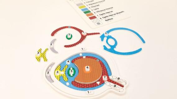 My Sight Puzzle and Key