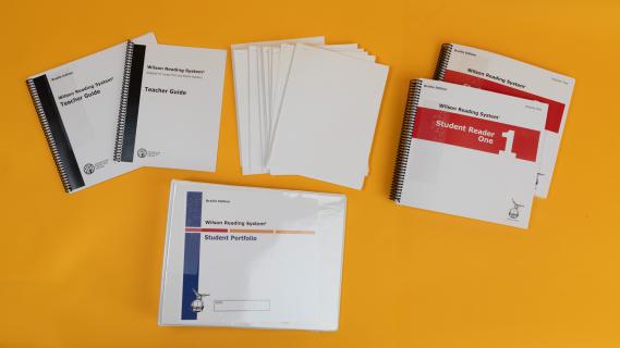 Wilson Reading System IV books